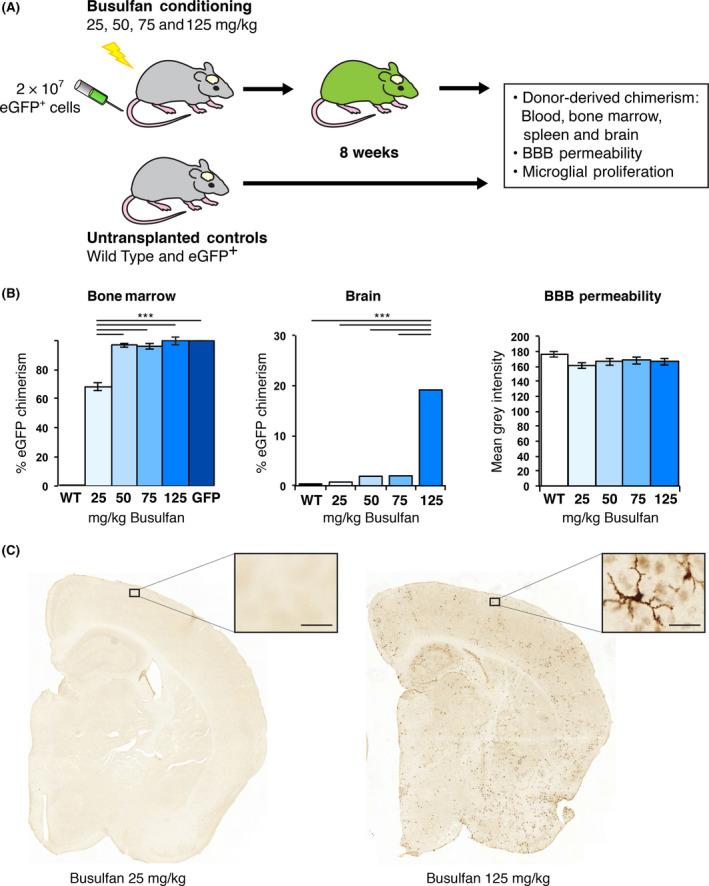https://cdn.ncbi.nlm.nih.gov/pmc/blobs/6541/7379954/9c0bd9ebd5e9/NAN-45-119-g001.jpg