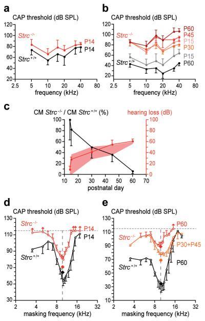 https://cdn.ncbi.nlm.nih.gov/pmc/blobs/6542/3338146/8b1c0423dc66/ukmss-34060-f0001.jpg