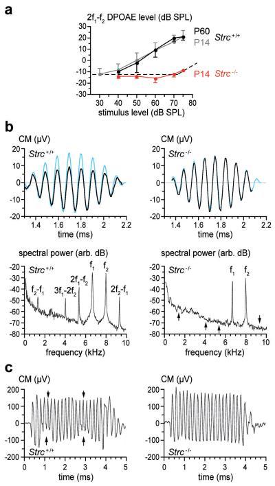 https://cdn.ncbi.nlm.nih.gov/pmc/blobs/6542/3338146/cd208e5f42ba/ukmss-34060-f0002.jpg