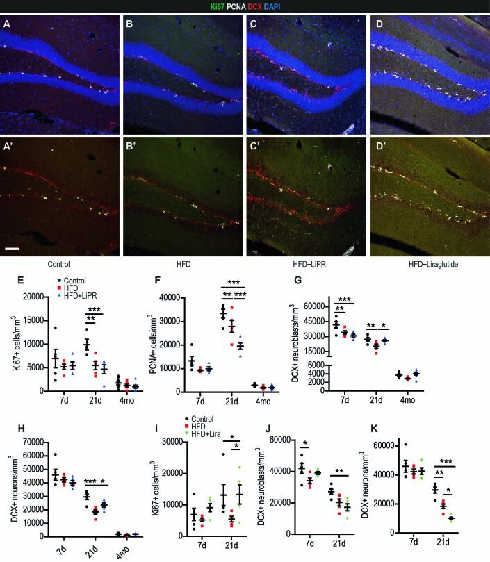https://cdn.ncbi.nlm.nih.gov/pmc/blobs/6543/10897398/0eaadaa7d52a/44319_2023_16_Fig7_ESM.jpg
