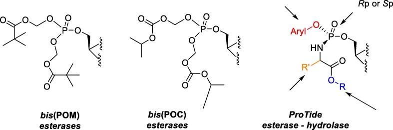 https://cdn.ncbi.nlm.nih.gov/pmc/blobs/6544/8856764/da7b0d432f19/gr4_lrg.jpg