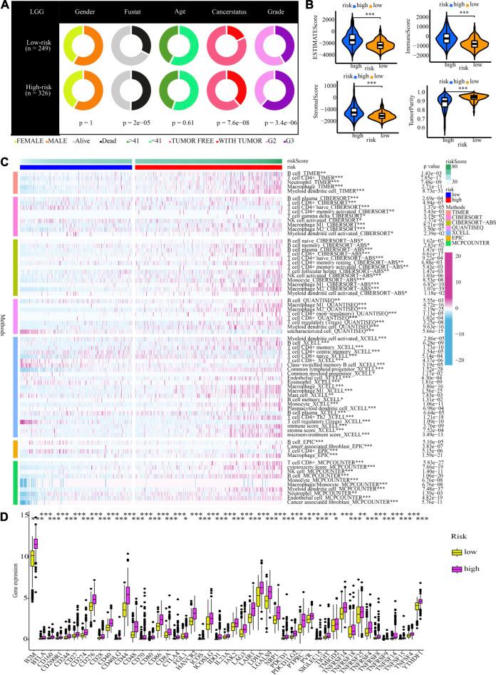 https://cdn.ncbi.nlm.nih.gov/pmc/blobs/6544/9524234/006a00013e9c/fgene-13-951239-g012.jpg