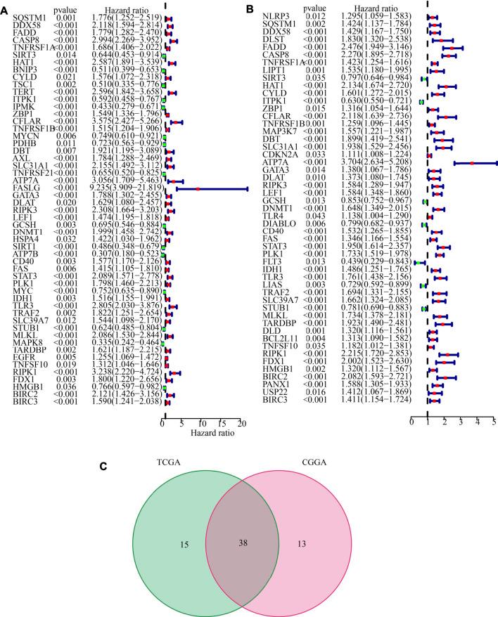 https://cdn.ncbi.nlm.nih.gov/pmc/blobs/6544/9524234/2abfc5045f44/fgene-13-951239-g003.jpg