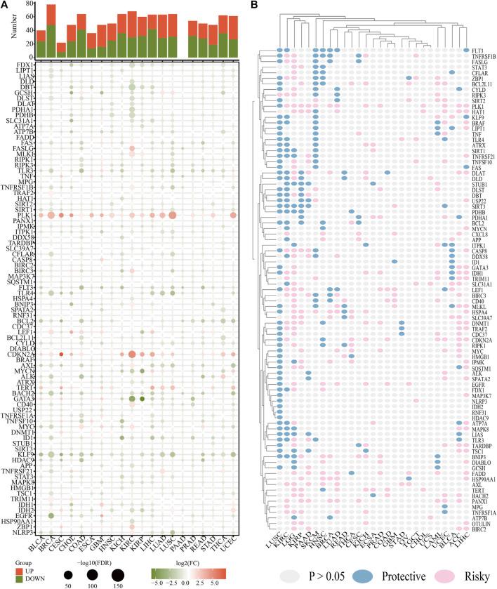 https://cdn.ncbi.nlm.nih.gov/pmc/blobs/6544/9524234/3bbf98f39547/fgene-13-951239-g002.jpg
