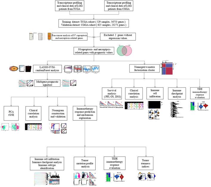 https://cdn.ncbi.nlm.nih.gov/pmc/blobs/6544/9524234/8b8290abf0b7/fgene-13-951239-g001.jpg