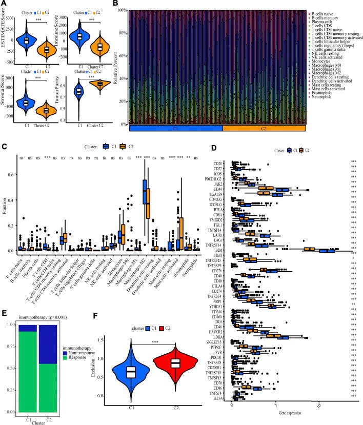 https://cdn.ncbi.nlm.nih.gov/pmc/blobs/6544/9524234/d0374f848759/fgene-13-951239-g005.jpg