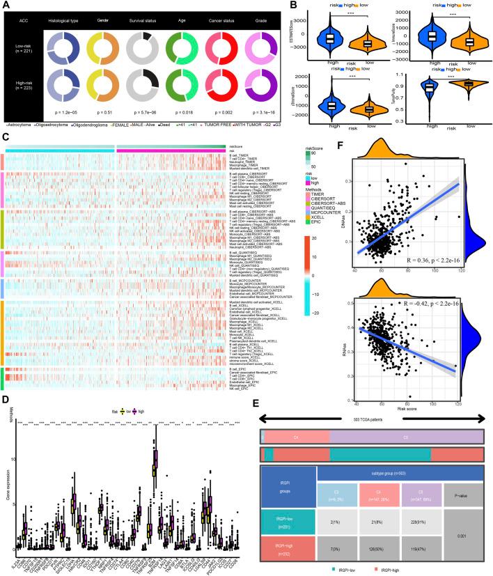 https://cdn.ncbi.nlm.nih.gov/pmc/blobs/6544/9524234/fcaeaebe99b9/fgene-13-951239-g008.jpg