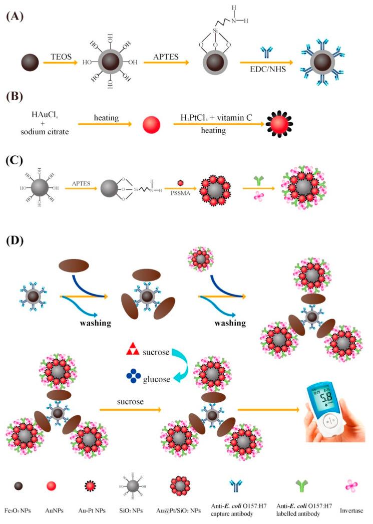 https://cdn.ncbi.nlm.nih.gov/pmc/blobs/6545/7277213/54865377b057/biosensors-10-00054-g006.jpg