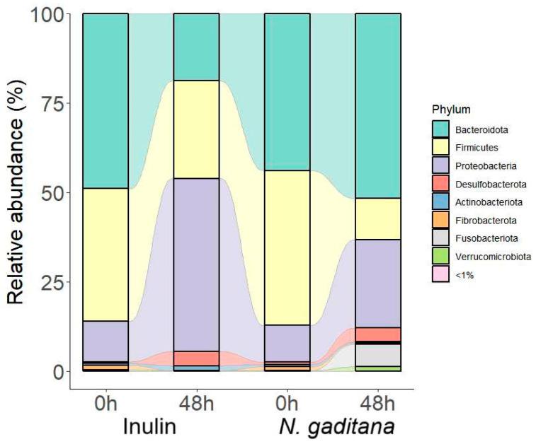 https://cdn.ncbi.nlm.nih.gov/pmc/blobs/6547/11723233/54cdfa197400/nutrients-17-00099-g005.jpg