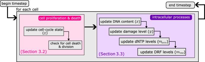 https://cdn.ncbi.nlm.nih.gov/pmc/blobs/6548/11541430/688e92066409/11538_2024_1359_Fig2_HTML.jpg