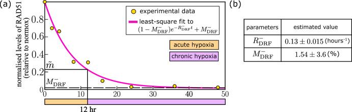 https://cdn.ncbi.nlm.nih.gov/pmc/blobs/6548/11541430/8f1cc373443e/11538_2024_1359_Fig14_HTML.jpg