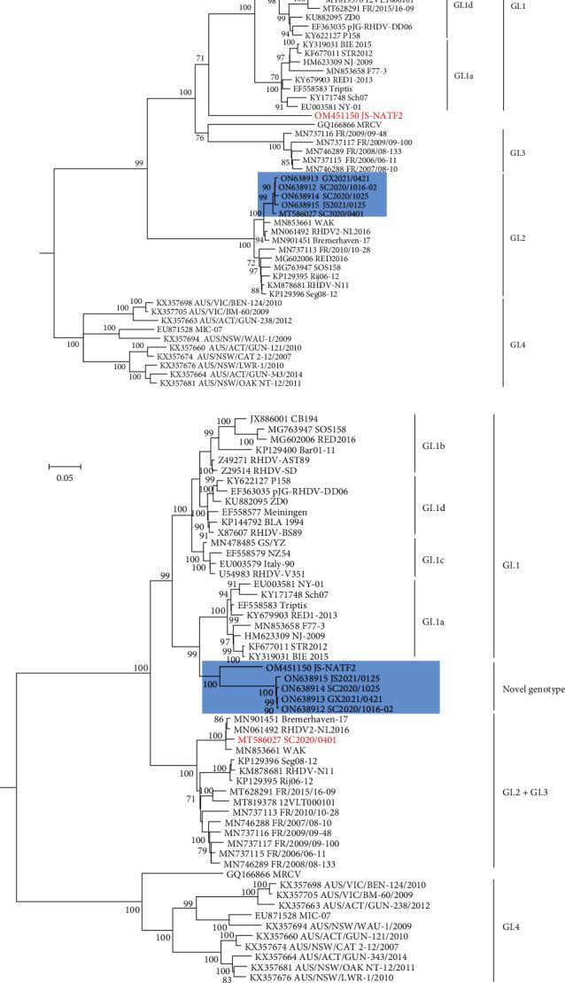 https://cdn.ncbi.nlm.nih.gov/pmc/blobs/6549/12017194/25c4c68bd053/TBED2023-4787785.002.jpg