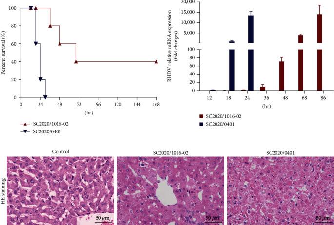https://cdn.ncbi.nlm.nih.gov/pmc/blobs/6549/12017194/4c81e49b3bc5/TBED2023-4787785.003.jpg