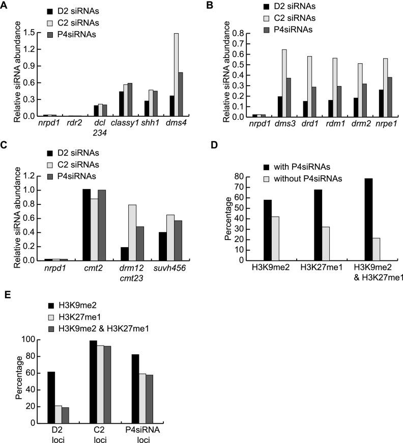 https://cdn.ncbi.nlm.nih.gov/pmc/blobs/654a/4315297/831549007547/235fig6.jpg