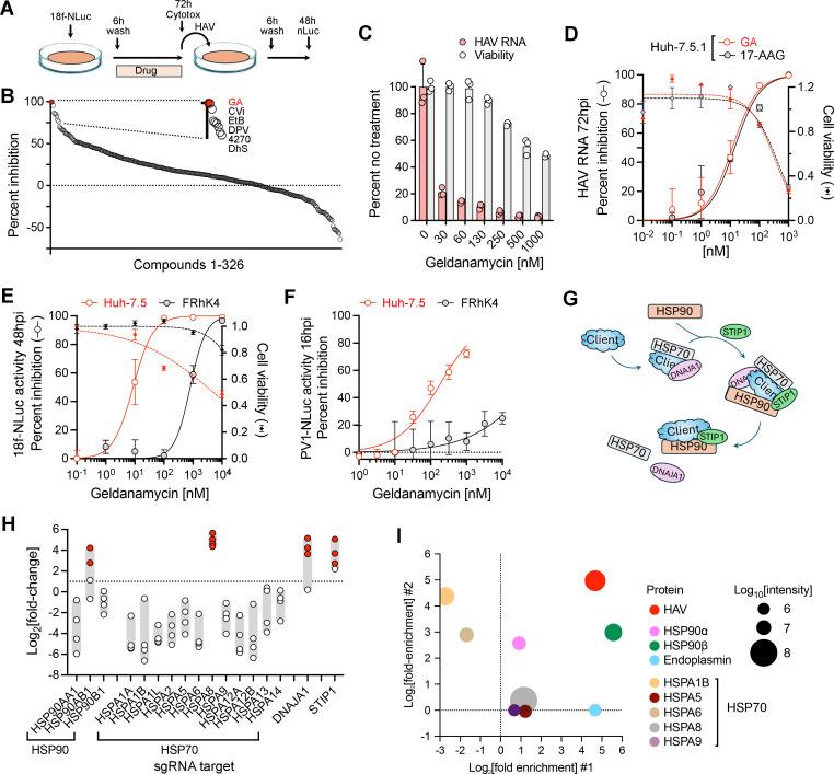 https://cdn.ncbi.nlm.nih.gov/pmc/blobs/654b/12282101/2f812718b5f4/jvi.00502-25.f001.jpg