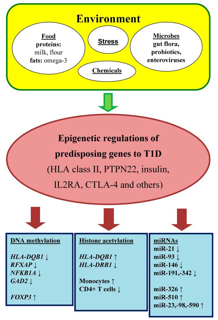 https://cdn.ncbi.nlm.nih.gov/pmc/blobs/654b/6981658/2a8a31ecbf23/ijms-21-00036-g001.jpg