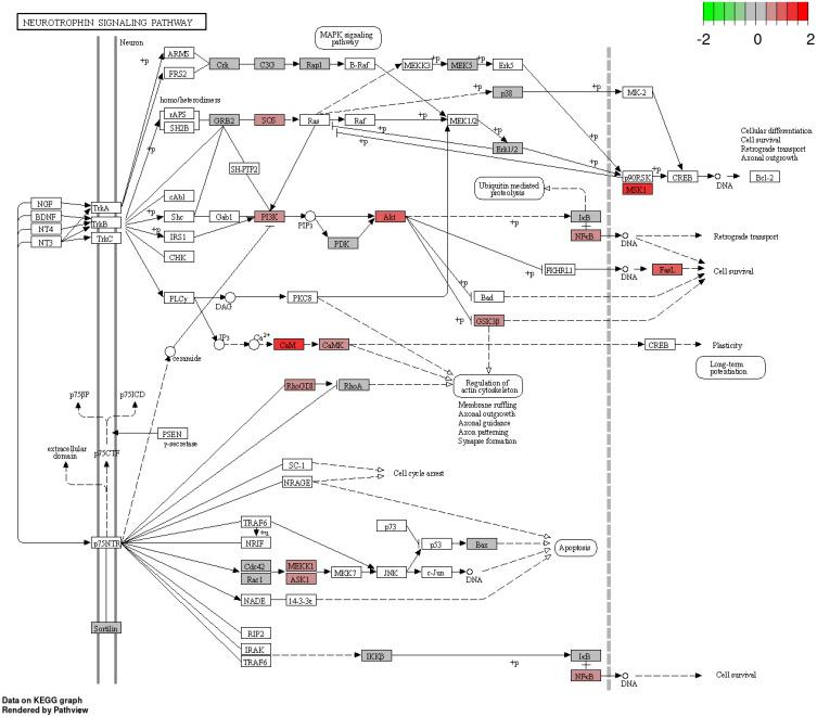 https://cdn.ncbi.nlm.nih.gov/pmc/blobs/654d/11675326/2f2dcaa8c323/JIR-17-11375-g0021.jpg