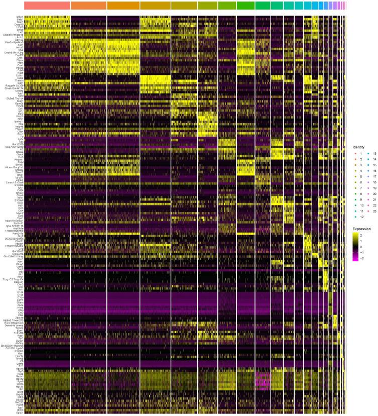 https://cdn.ncbi.nlm.nih.gov/pmc/blobs/654d/11675326/6a518c395e0d/JIR-17-11375-g0006.jpg