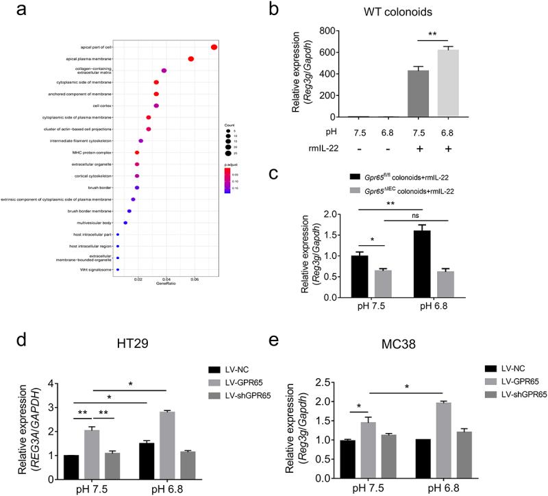 https://cdn.ncbi.nlm.nih.gov/pmc/blobs/654e/10524779/083d84d1859b/KGMI_A_2257269_F0006_OC.jpg