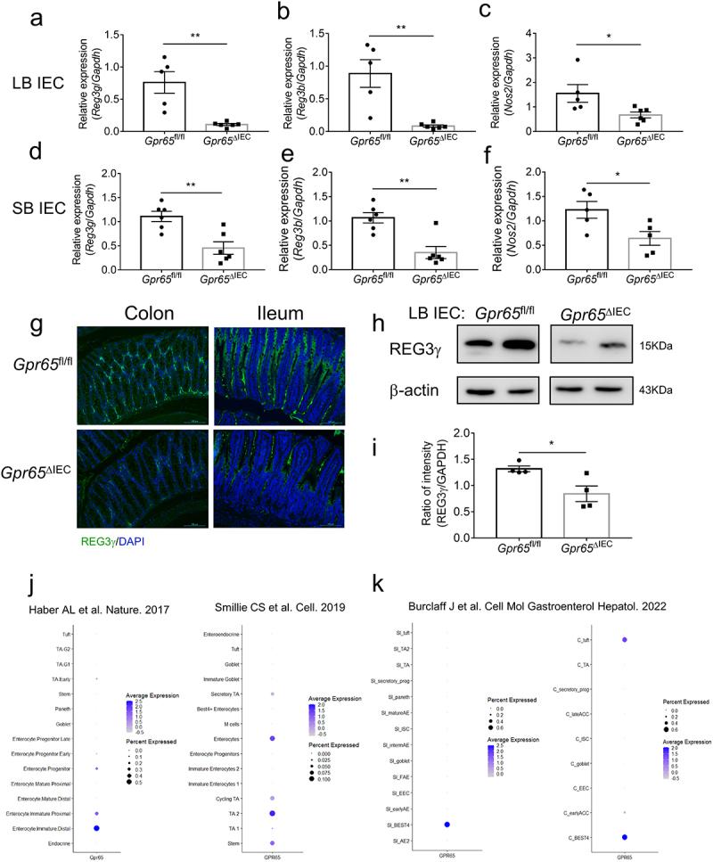 https://cdn.ncbi.nlm.nih.gov/pmc/blobs/654e/10524779/2ff03527001e/KGMI_A_2257269_F0001_OC.jpg