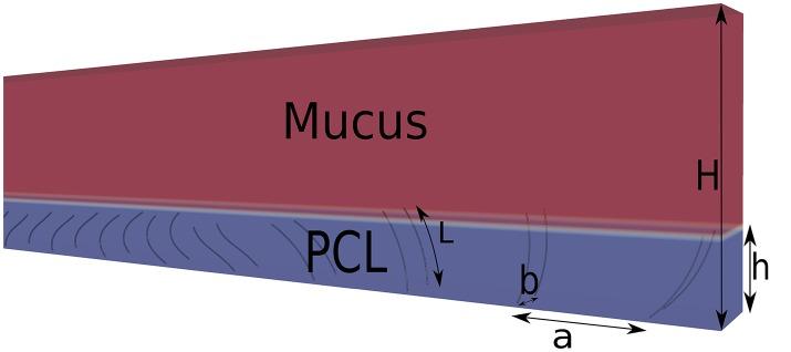 https://cdn.ncbi.nlm.nih.gov/pmc/blobs/6550/5845650/f35de61fb2d4/fphys-09-00161-g0002.jpg