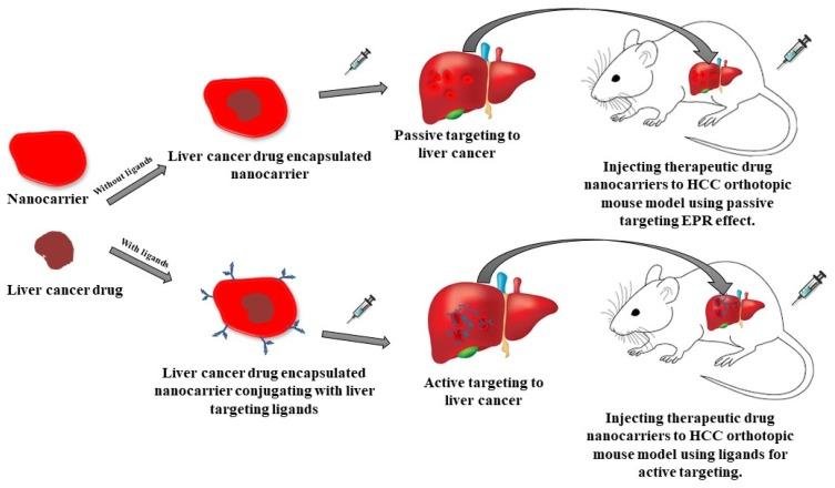 https://cdn.ncbi.nlm.nih.gov/pmc/blobs/6550/7060777/0dba51bb75ec/IJN-15-1437-g0009.jpg