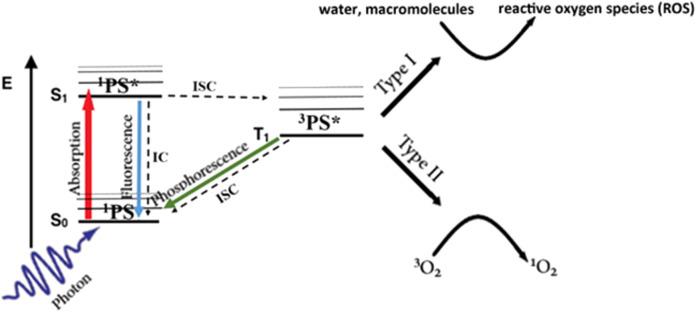 https://cdn.ncbi.nlm.nih.gov/pmc/blobs/6551/10577272/ccb30990e115/fbioe-11-1250804-g001.jpg