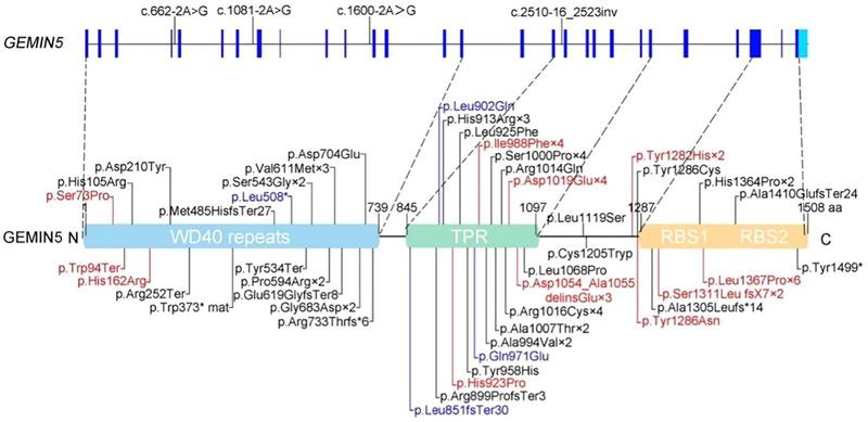 https://cdn.ncbi.nlm.nih.gov/pmc/blobs/6551/11109505/58f5e9dc2a58/BRB3-14-e3535-g002.jpg