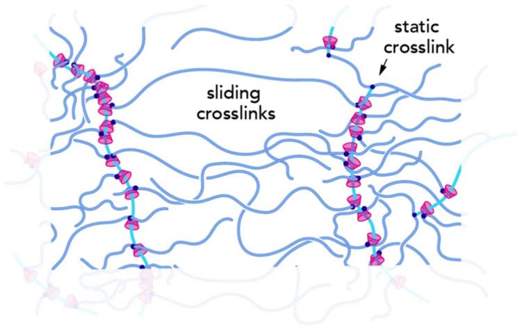 https://cdn.ncbi.nlm.nih.gov/pmc/blobs/6552/12030016/7b92711862c2/polymers-17-01093-g005.jpg