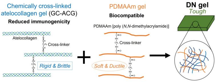 https://cdn.ncbi.nlm.nih.gov/pmc/blobs/6552/12030016/8fc61932eaa5/polymers-17-01093-g004.jpg