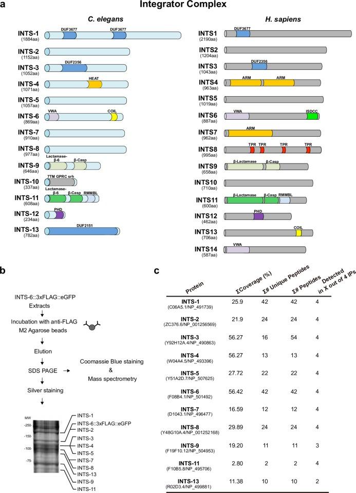 https://cdn.ncbi.nlm.nih.gov/pmc/blobs/6552/6390993/0f406f165a00/pgen.1007981.g002.jpg
