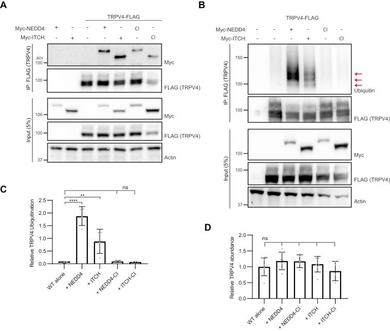 https://cdn.ncbi.nlm.nih.gov/pmc/blobs/6553/9010760/62f57bdd7153/gr4.jpg