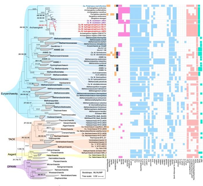 https://cdn.ncbi.nlm.nih.gov/pmc/blobs/6554/7380581/8bfb6b9bbb66/mSystems.00651-19-f0001.jpg