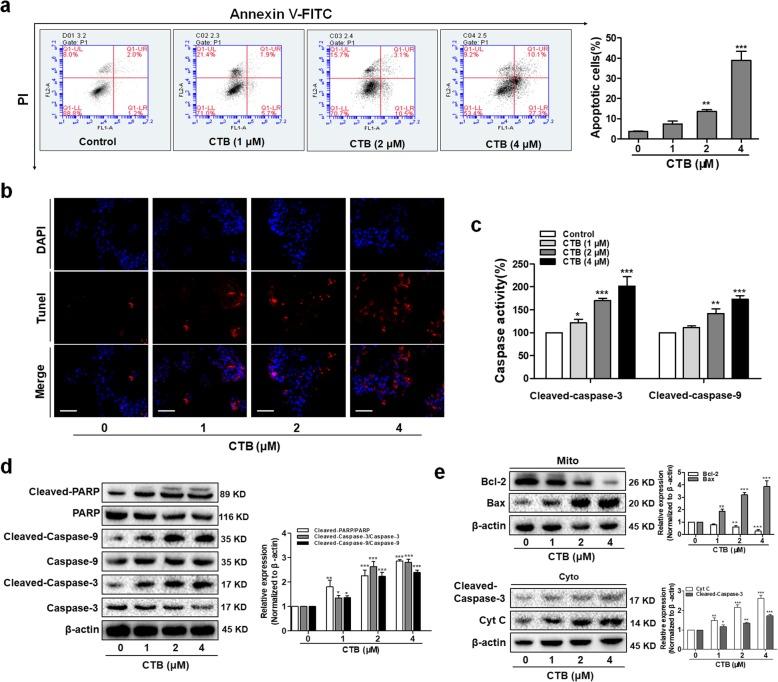 https://cdn.ncbi.nlm.nih.gov/pmc/blobs/6555/6862763/58df782ee94a/12964_2019_468_Fig3_HTML.jpg