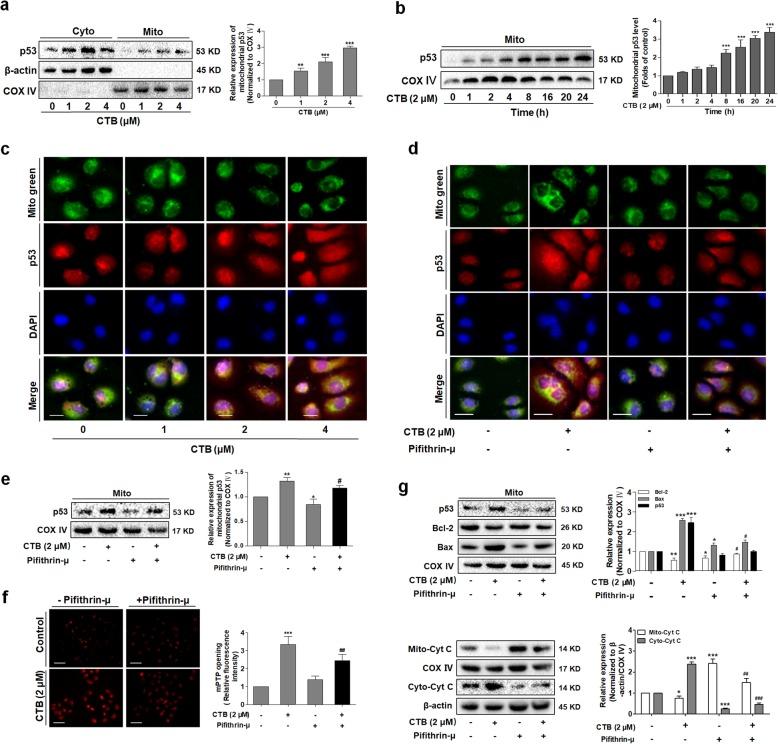 https://cdn.ncbi.nlm.nih.gov/pmc/blobs/6555/6862763/7ad6799655e0/12964_2019_468_Fig5_HTML.jpg