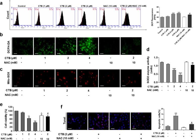 https://cdn.ncbi.nlm.nih.gov/pmc/blobs/6555/6862763/b2c4f75d9ee3/12964_2019_468_Fig4_HTML.jpg
