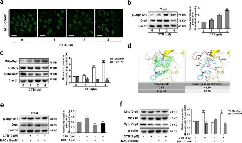 https://cdn.ncbi.nlm.nih.gov/pmc/blobs/6555/6862763/fa31929c0298/12964_2019_468_Fig6_HTML.jpg