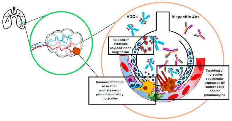 https://cdn.ncbi.nlm.nih.gov/pmc/blobs/6557/12345867/d24dc3852b1d/cancers-17-02522-g002.jpg