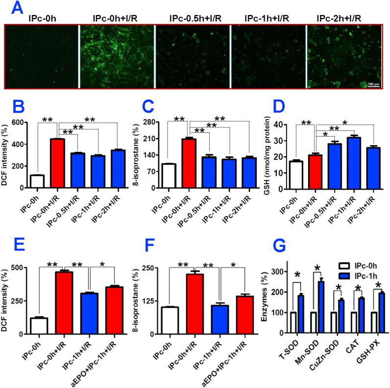 https://cdn.ncbi.nlm.nih.gov/pmc/blobs/6557/5447396/373ba63892d8/gr5.jpg