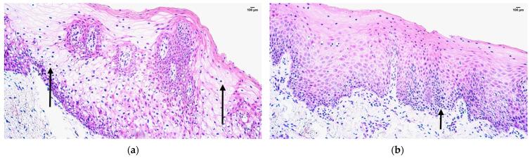 https://cdn.ncbi.nlm.nih.gov/pmc/blobs/6558/11433168/1232ba7adf72/jpm-14-00965-g002.jpg