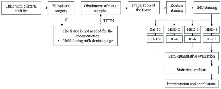 https://cdn.ncbi.nlm.nih.gov/pmc/blobs/6558/11433168/349d064e27d0/jpm-14-00965-g001.jpg