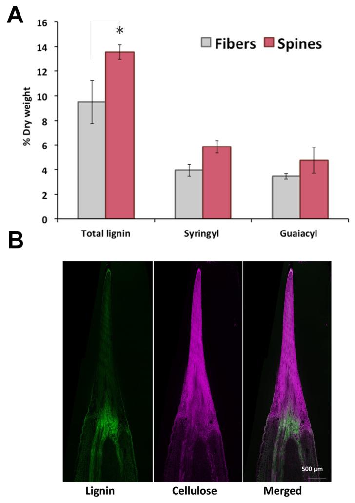 https://cdn.ncbi.nlm.nih.gov/pmc/blobs/6558/7759909/262fea35f041/plants-09-01642-g002.jpg