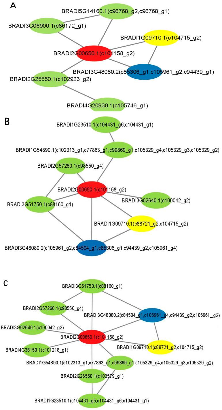 https://cdn.ncbi.nlm.nih.gov/pmc/blobs/6559/12197307/4d8f1f982a37/plants-14-01767-g005.jpg