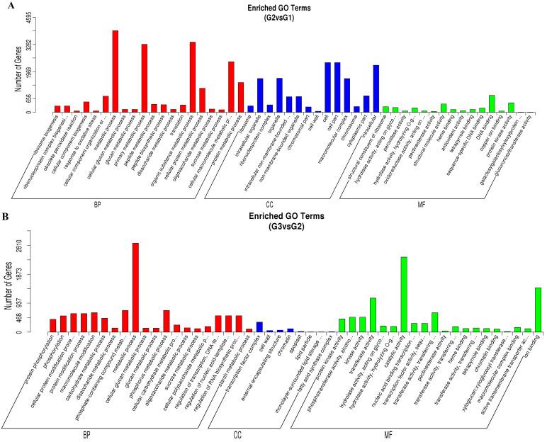 https://cdn.ncbi.nlm.nih.gov/pmc/blobs/6559/12197307/cee6257b40d5/plants-14-01767-g003a.jpg