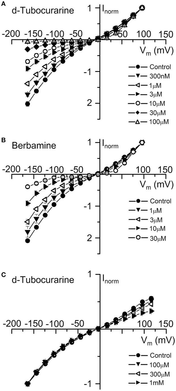https://cdn.ncbi.nlm.nih.gov/pmc/blobs/6559/5591855/044fc9c9059d/fncel-11-00262-g0006.jpg