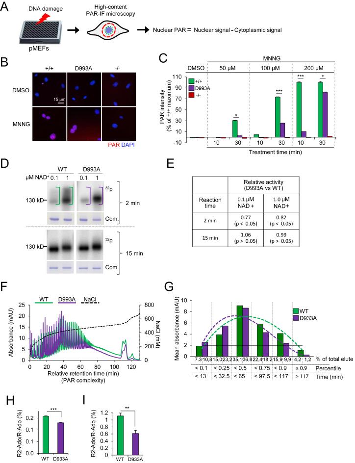 https://cdn.ncbi.nlm.nih.gov/pmc/blobs/6559/5737718/487f1120be37/gkx717fig1.jpg