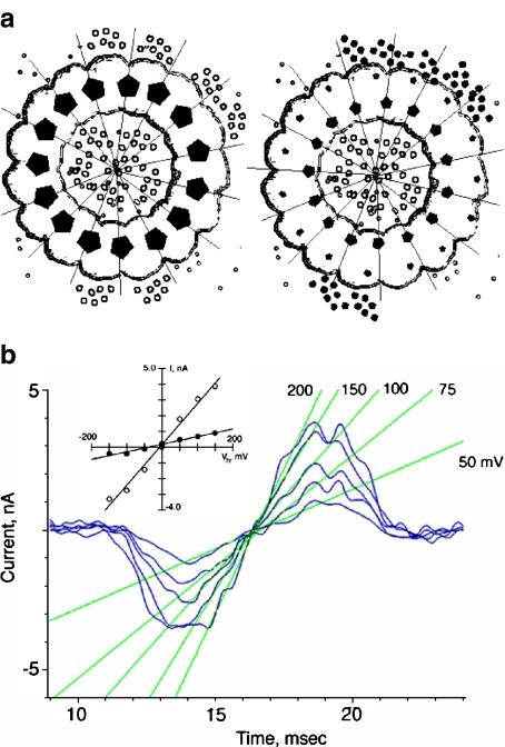 https://cdn.ncbi.nlm.nih.gov/pmc/blobs/655a/2791806/00a0ac8de1c7/10867_2009_9153_Fig4_HTML.jpg