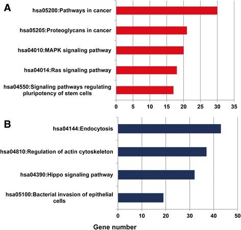 https://cdn.ncbi.nlm.nih.gov/pmc/blobs/655a/5606074/ba91a8e39195/12957_2017_1244_Fig5_HTML.jpg