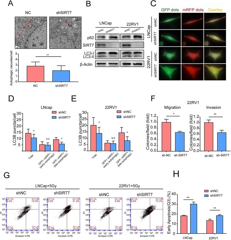 https://cdn.ncbi.nlm.nih.gov/pmc/blobs/655a/6998106/beb17c200873/13046_2019_1516_Fig3_HTML.jpg