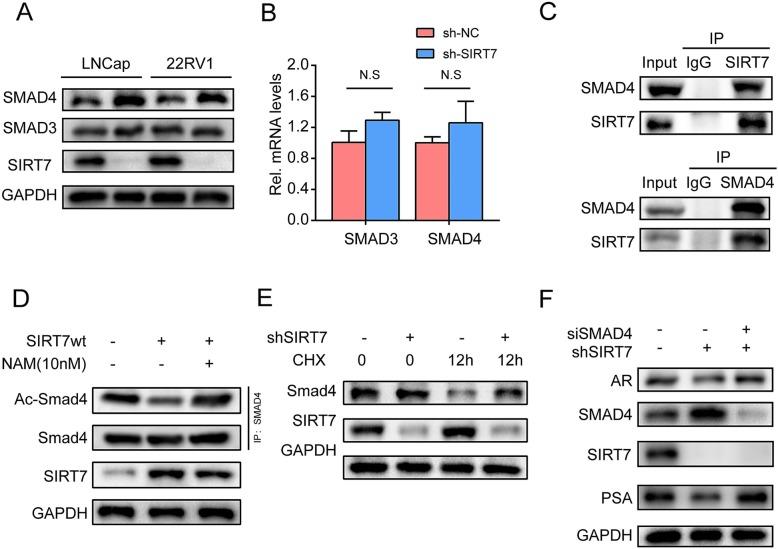 https://cdn.ncbi.nlm.nih.gov/pmc/blobs/655a/6998106/c08b02b2a4cc/13046_2019_1516_Fig8_HTML.jpg